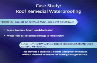 Repair Roof Waterproofing Membrane