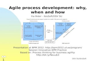 Agile Business Process Development: Why, When and How